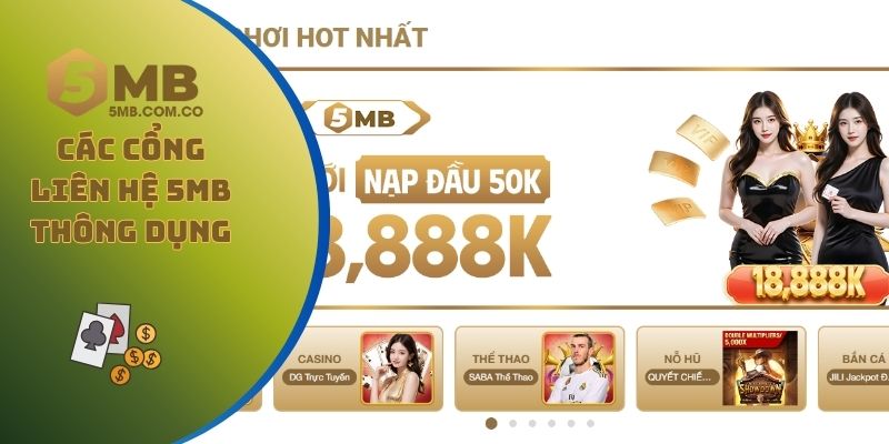 Các cổng liên hệ 5MB thông dụng mà bạn nên dùng