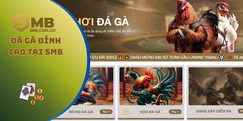 Đá gà đỉnh cao tại nhà cái 5MB chuyên nghiệp