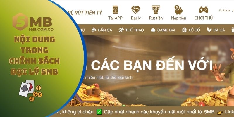 Những nội dung cơ bản trong chính sách đại lý 5MB