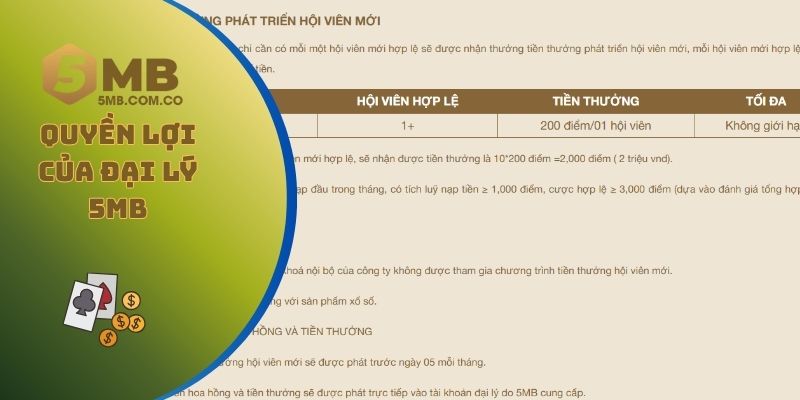 Quyền lợi của đại lý 5MB mà mọi người có thể nhận được